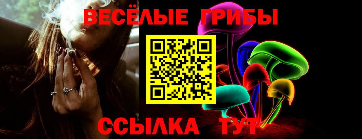 Псилоцибиновые грибы мухоморы Хабаровск