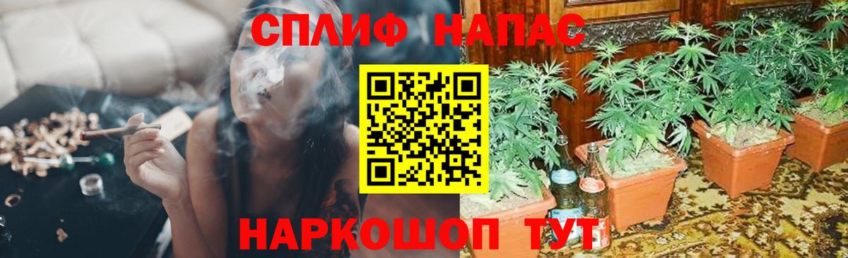 Каннабис ГИДРОПОН  Марихуана Bruce Banner  Хабаровск  Вход с VPN  Марихуана тримм 